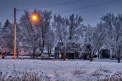Cozy winter evening scene in Plainview, MN with snowy trees and glowing streetlights.