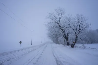 Frosty winter road in Minnesota covered with snow, lined with icy trees under a cold foggy sky.
