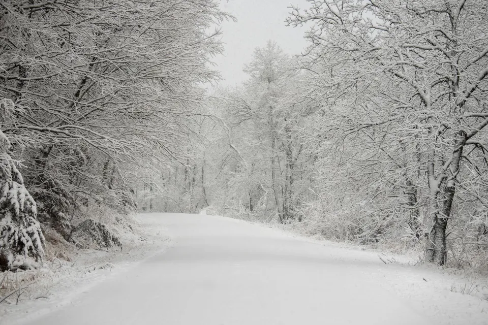 Article image for When the First and Last 30 Minutes Decide the Job Fit in Northern Minnesota