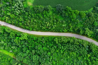 Aerial view of a winding road through lush green countryside in Goodhue, Minnesota.