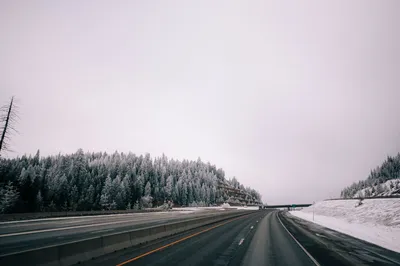Empty highway through a snowy forest in winter, showcasing serene landscape with overcast sky.